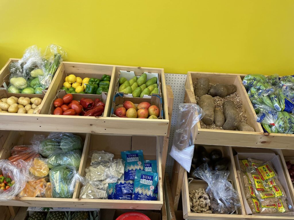 Fresh Vegetables